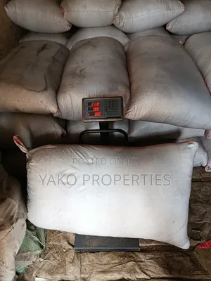 Boma Rhodes Seeds