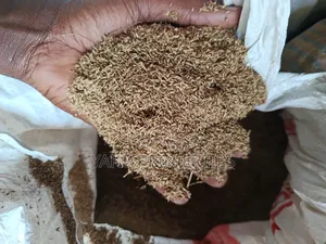 Boma Rhodes Seeds