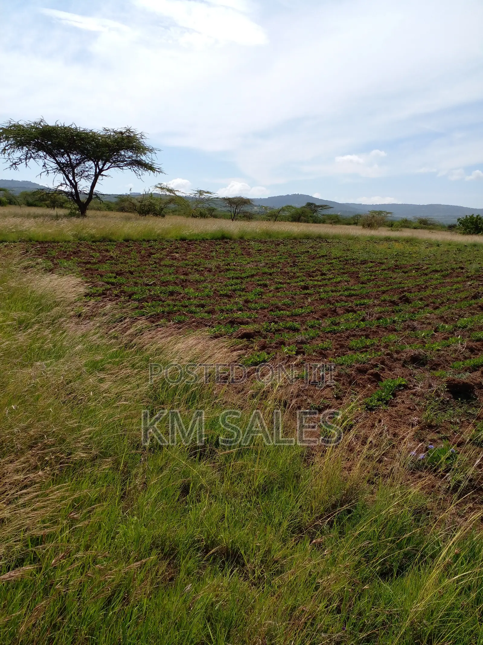 1 Acre Prime Plots at Lukenya