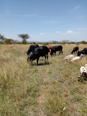 1 Acre Prime Plots at Lukenya