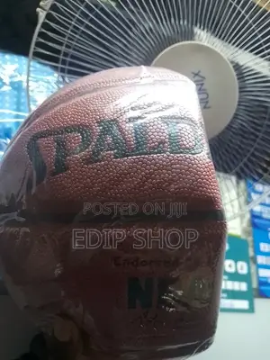 *OUTDOOR Spalding NBA Basketball*