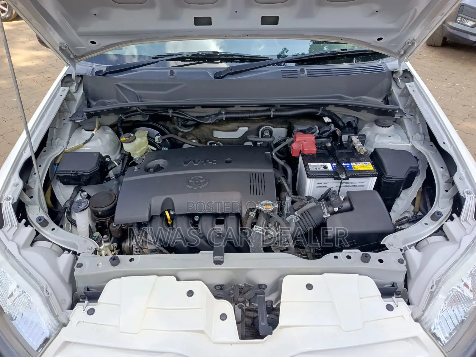 Toyota Succeed 2019 White