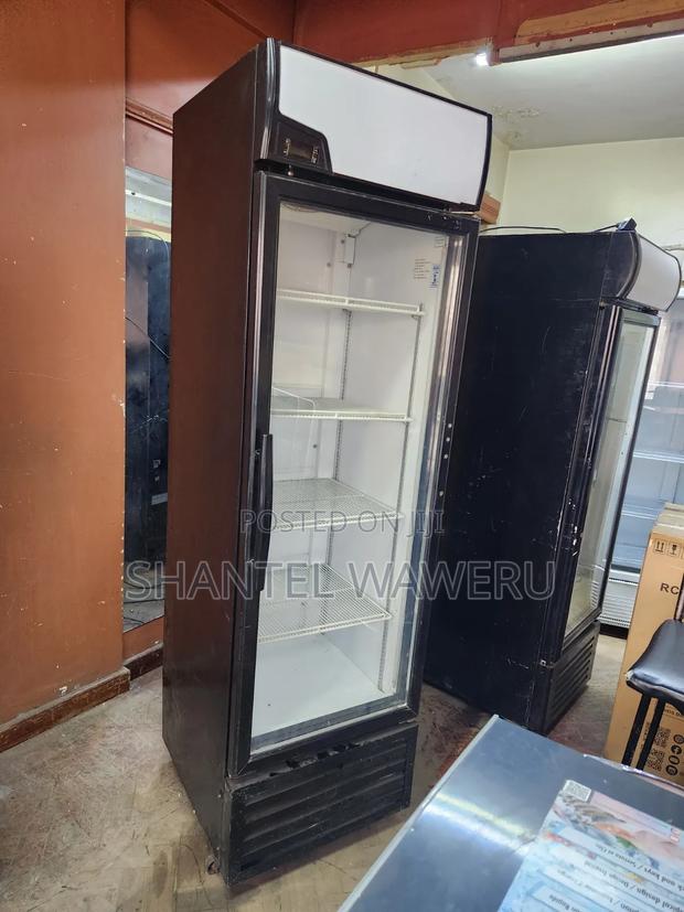 Canpy Display Refrigerator 450litres - main view