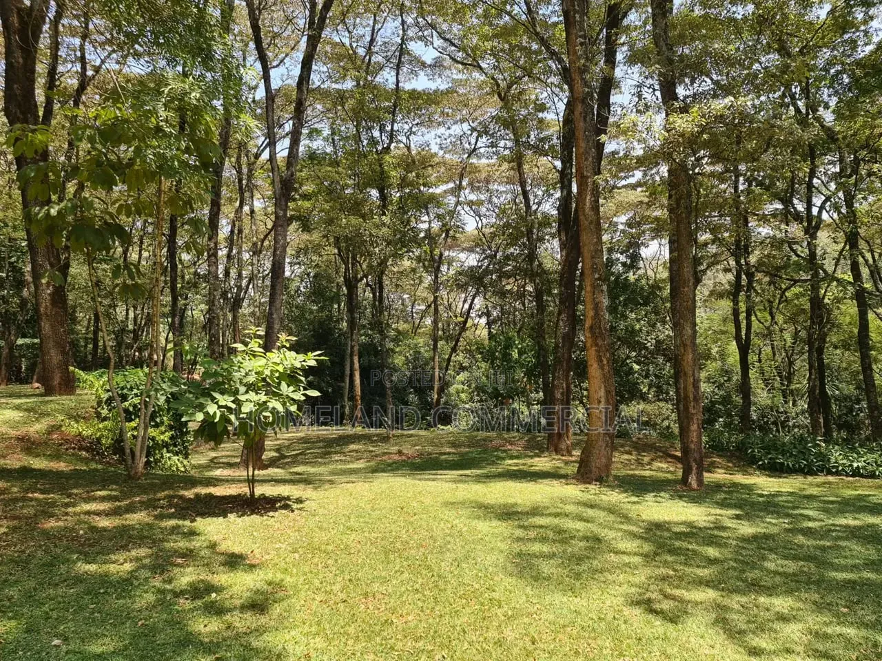 10 Acres for Sale in Karen Miotoni . Per Acre