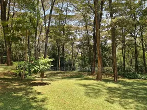 10 Acres for Sale in Karen Miotoni . Per Acre