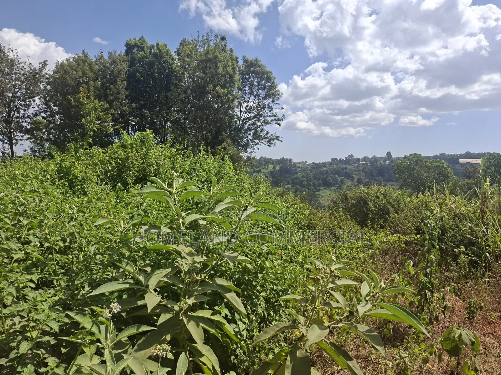 10 Acres for Sale in Karen Miotoni . Per Acre