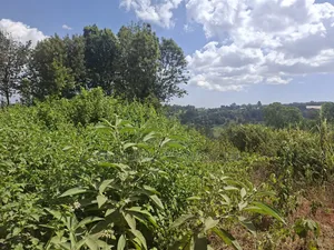 10 Acres for Sale in Karen Miotoni . Per Acre