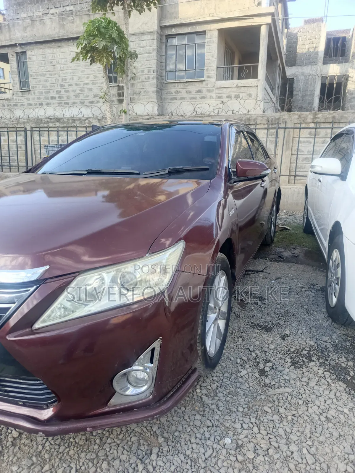 Car Tinting Services
