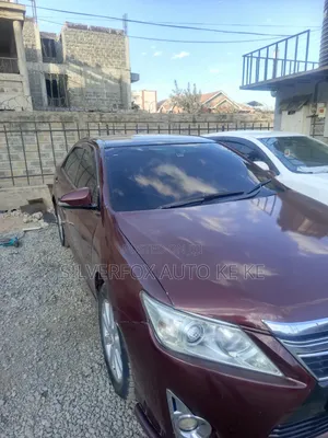 Car Tinting Services