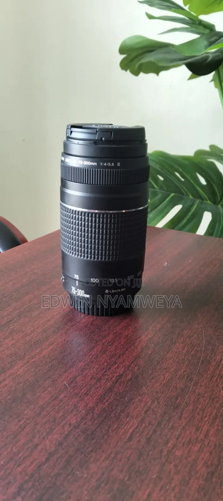 Canon EF 75-300mm