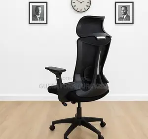 Ergonomic Back Support Office Chair