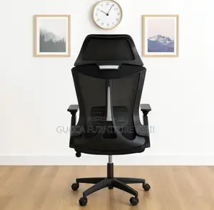 Ergonomic Back Support Office Chair