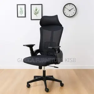 Ergonomic Back Support Office Chair