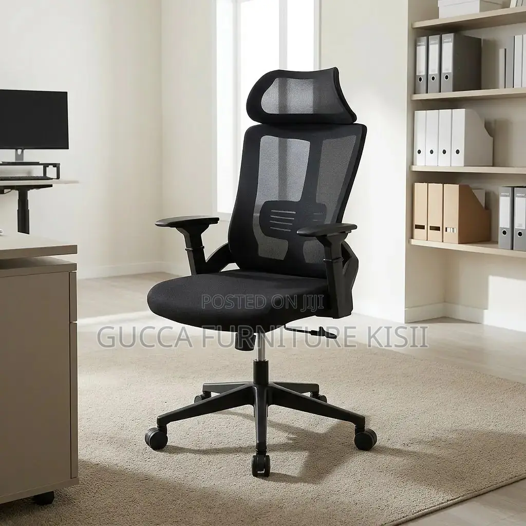 Ergonomic Back Support Office Chair