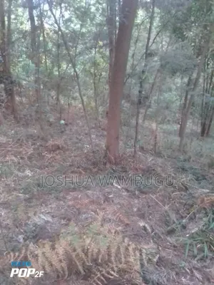 3.5 Acres at N/Acre