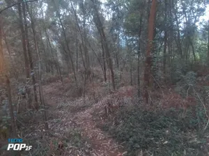 3.5 Acres at N/Acre
