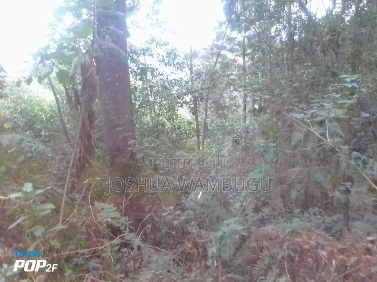 3.5 Acres at N/Acre