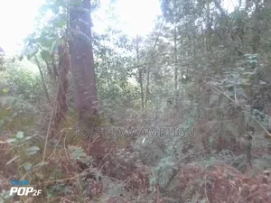 3.5 Acres at N/Acre