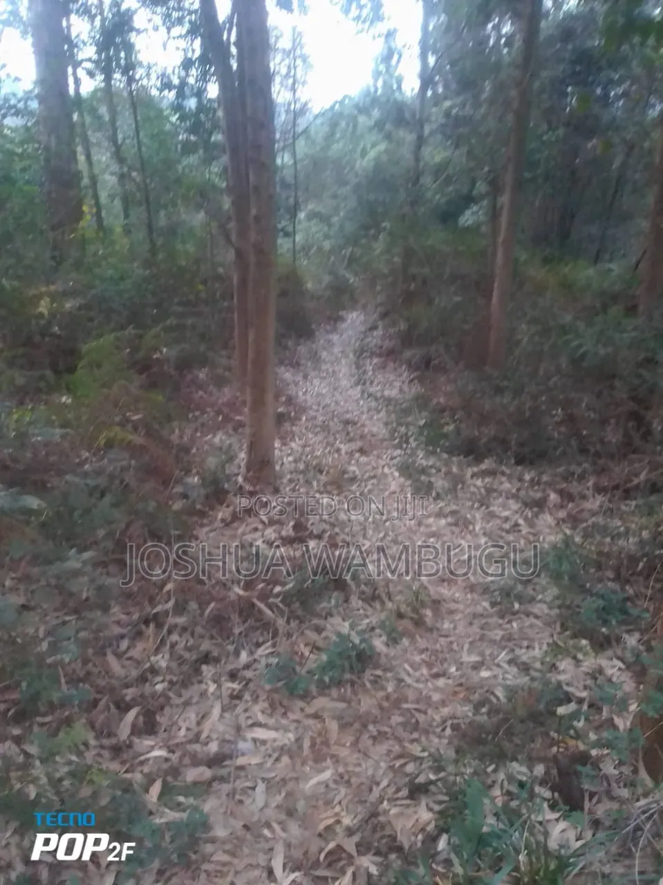 3.5 Acres at N/Acre