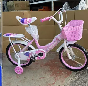 Pink Bike Size 20