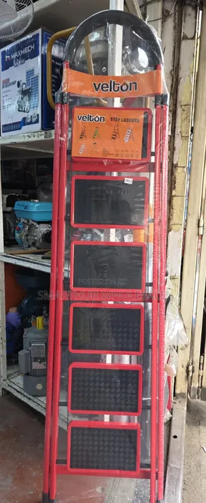 5 Step Ladder/Ladder