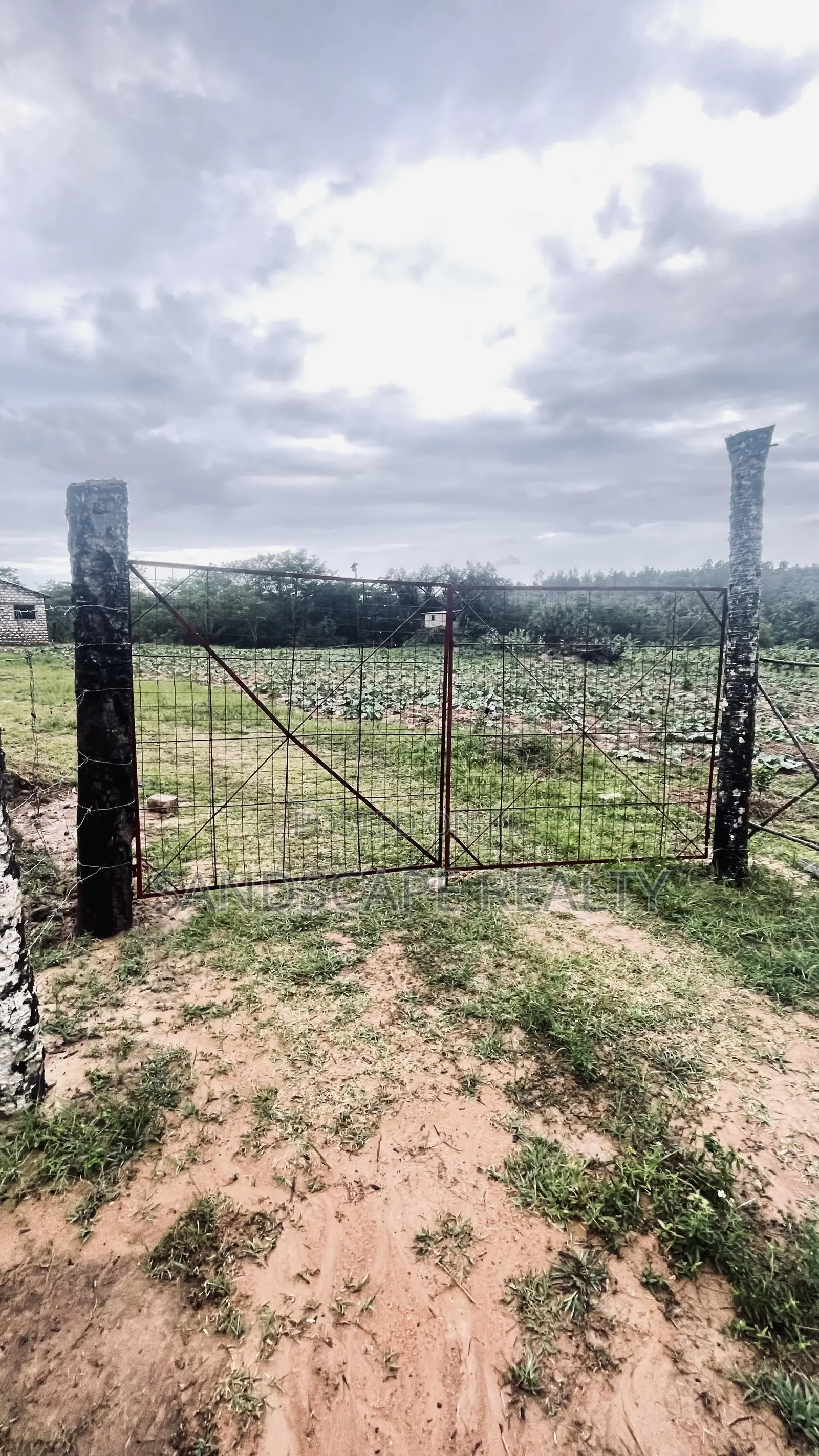 Distress Sale: Prime 12-Acre Agri- Project – Shimba Hills,