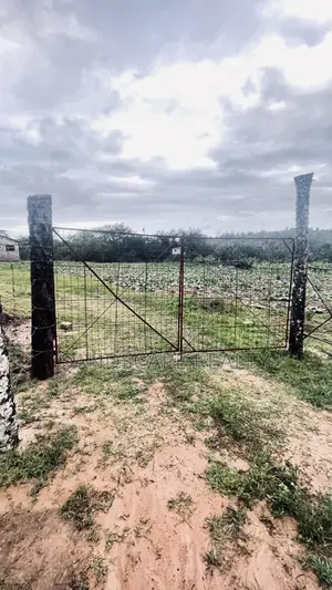 Distress Sale: Prime 12-Acre Agri- Project – Shimba Hills,