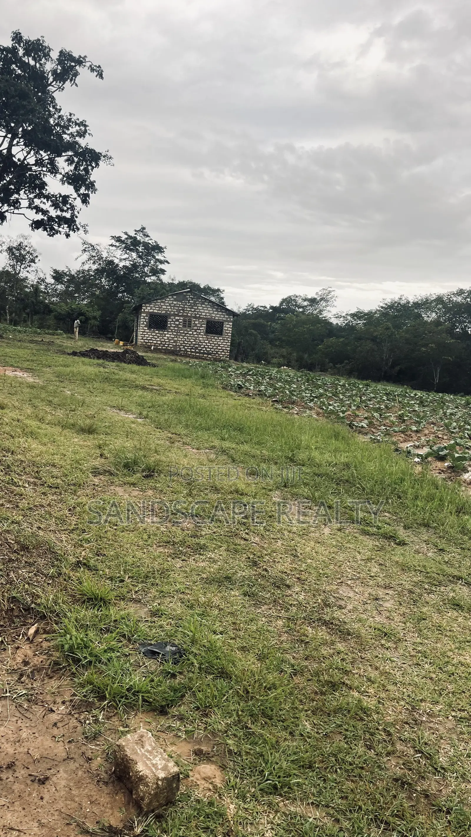 Distress Sale: Prime 12-Acre Agri- Project – Shimba Hills,