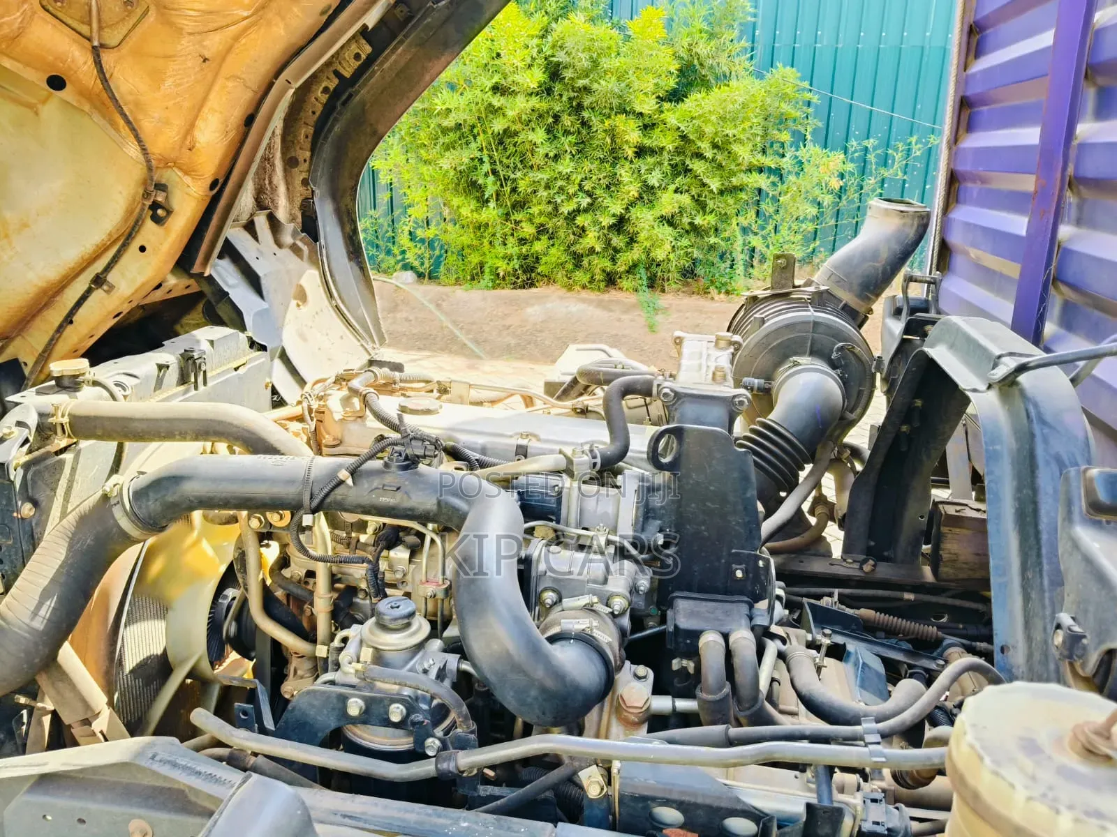 Isuzu FRR Open 2023 White