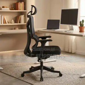 Executive Mesh Study Chair