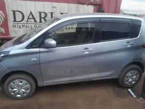 Nissan Dayz 2017 Gray