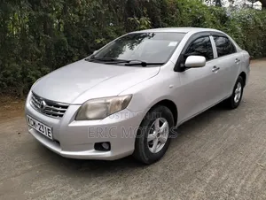 Toyota Axio 2010 Silver