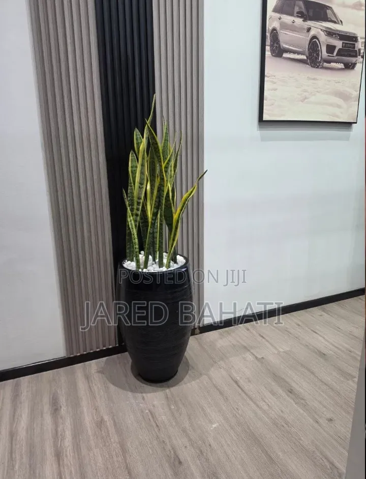 Jades Landscaping Services in Nairobi