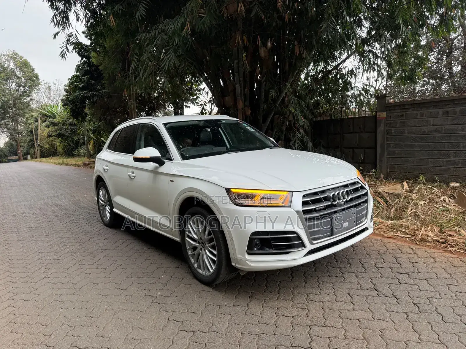 Audi Q5 2017 White