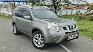 Nissan X-Trail 2.0 Petrol XE 2012 Gray