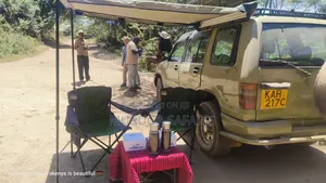 Excursion and Tours