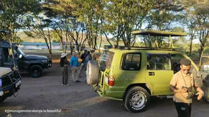 Excursion and Tours