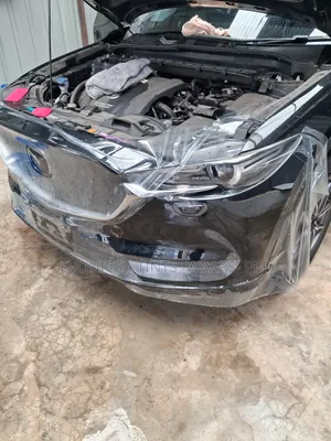 PPF Installation