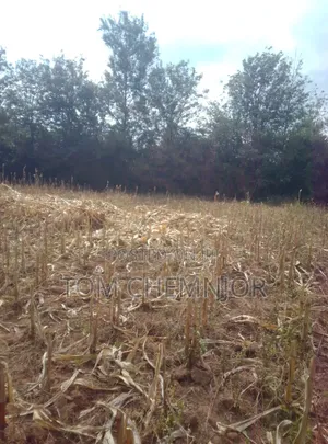 Plots for Sale - RAFIKI FARM (Kabarak Area)