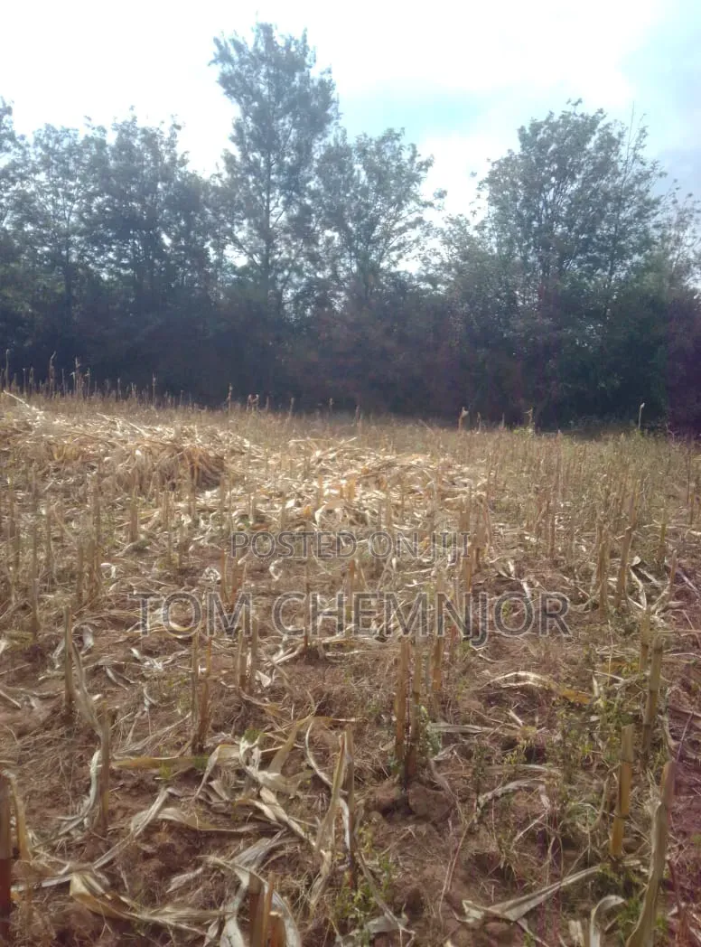 Plots for Sale - RAFIKI FARM (Kabarak Area)