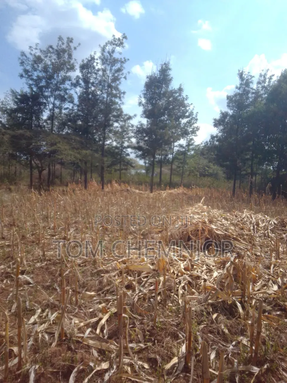 Plots for Sale - RAFIKI FARM (Kabarak Area)