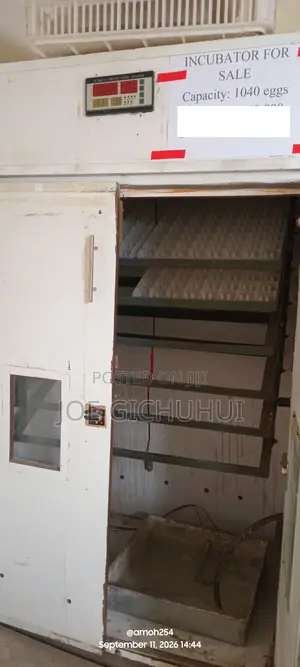 Incubator for Sale