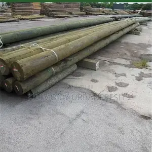 Pressure Treated Post 8 - 9” 3m - 6m.