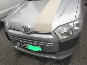 Toyota Probox 2019 Silver