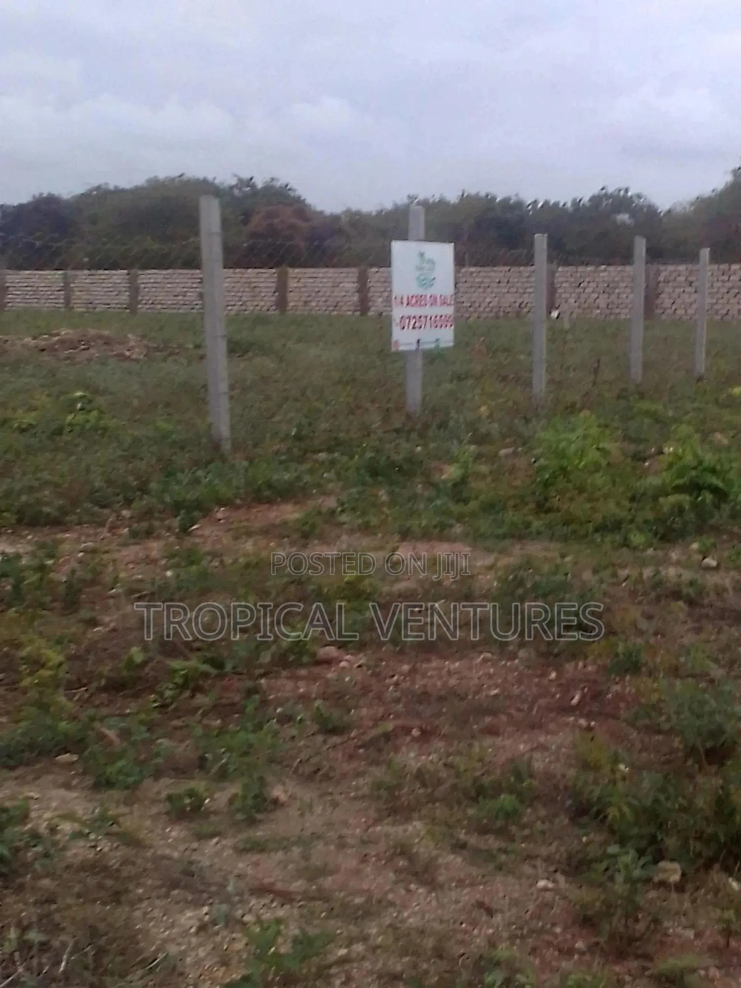 Beach Plots for Sale