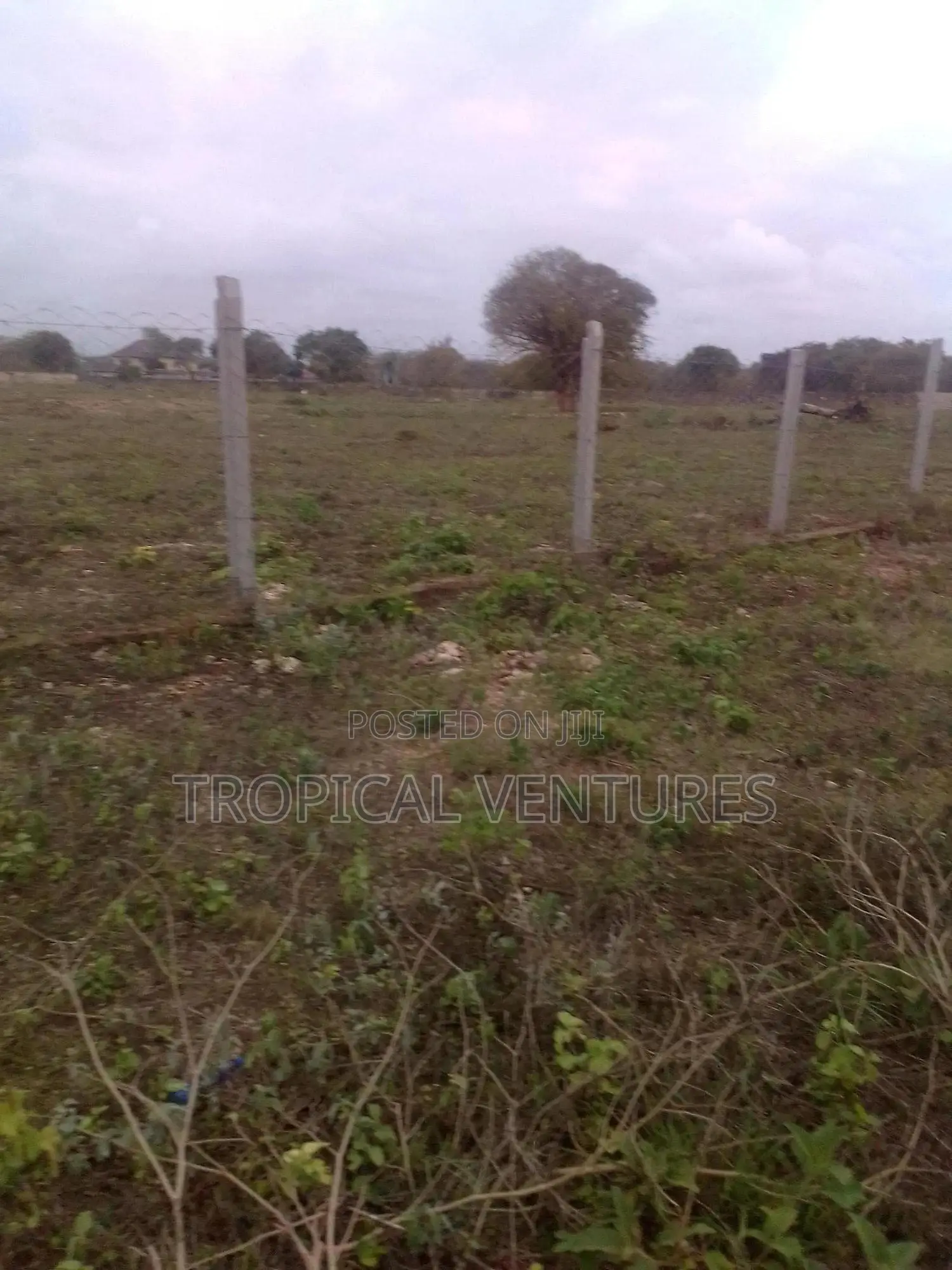 Beach Plots for Sale