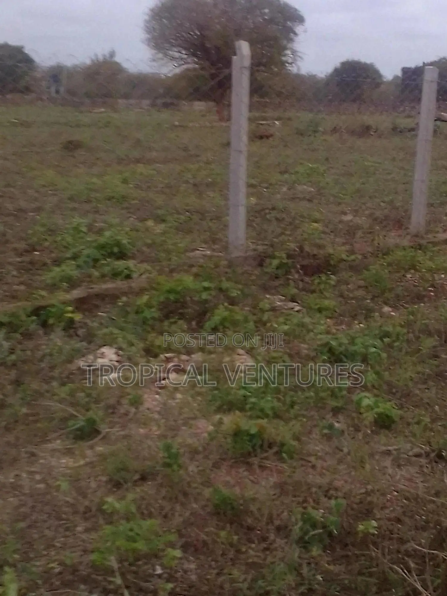 Beach Plots for Sale