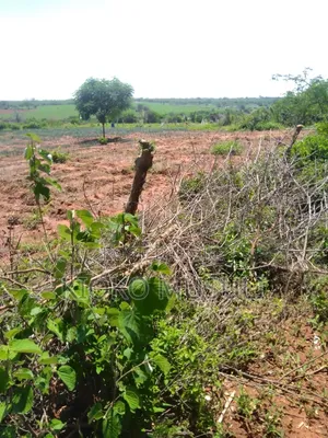 Ten Acres on Sale