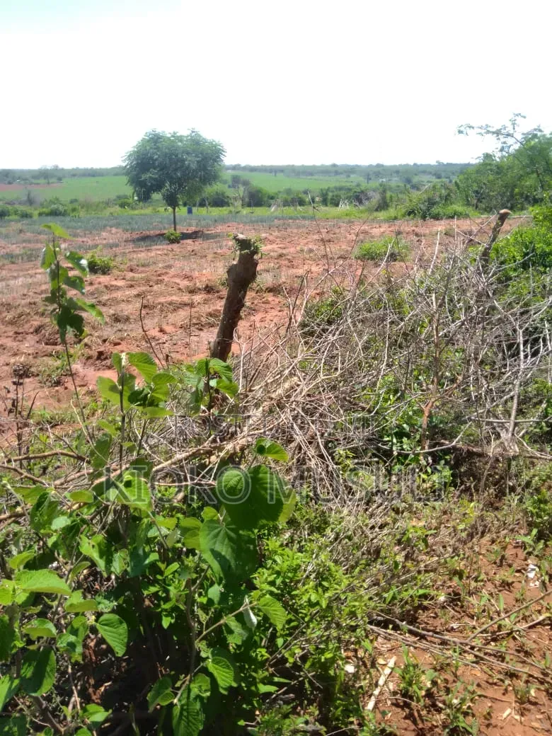 Ten Acres on Sale