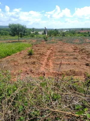 Ten Acres on Sale